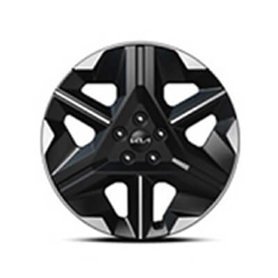 19 inch alloy wheel Air and Earth models